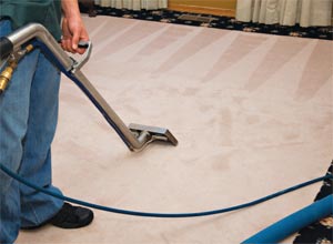 Extreme Cleaning