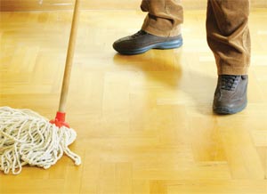 Extreme Cleaning